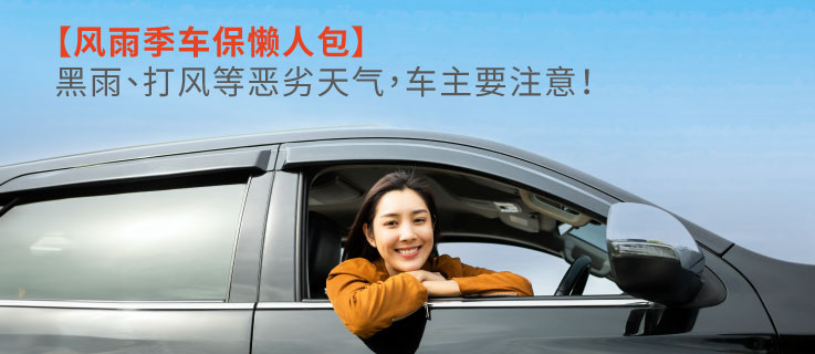 Travel insurance banner