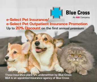 Pet insurance Promtoion