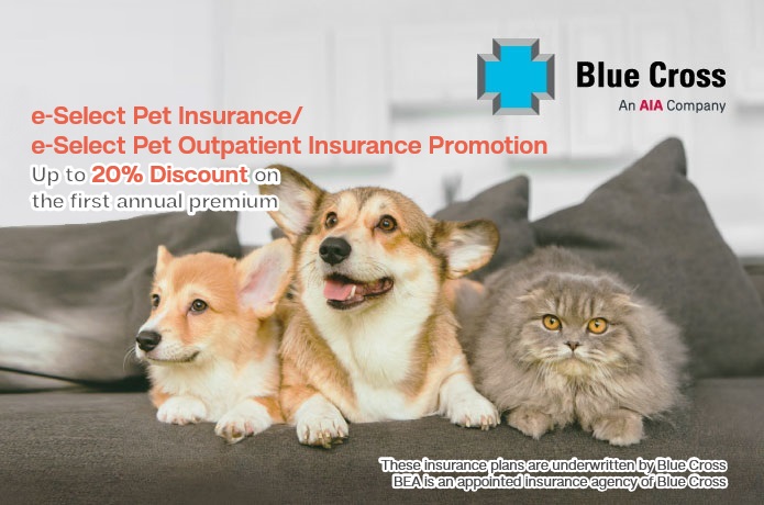 Pet insurance Promtoion
