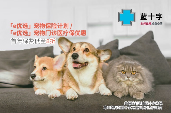 pet insurance Promotion