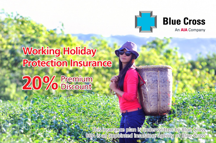 WorkingHoliday Promotion