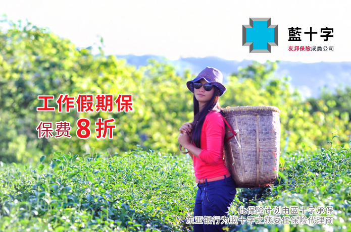 WorkingHoliday promotion