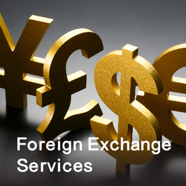 Foreign Exchange Services