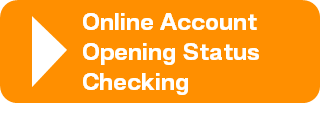 Online Account Opening Status Checking