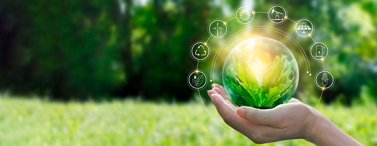 Green and sustainable products