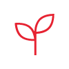 MPF Services
