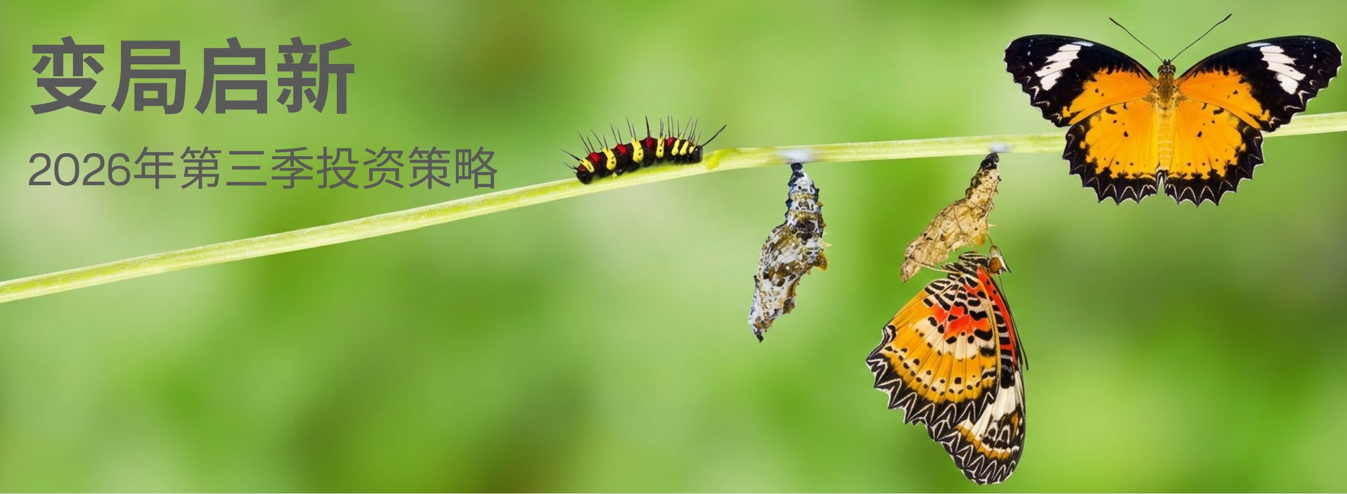 背景图