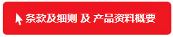 条款及细则及产品资料概要